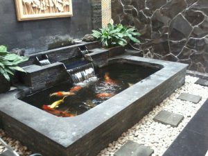 tukang kolam koi sidoarjo