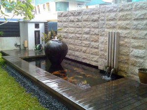 tukang kolam koi surabaya